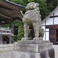 神秘古社：函館八幡宮！⛩️🌸🙏