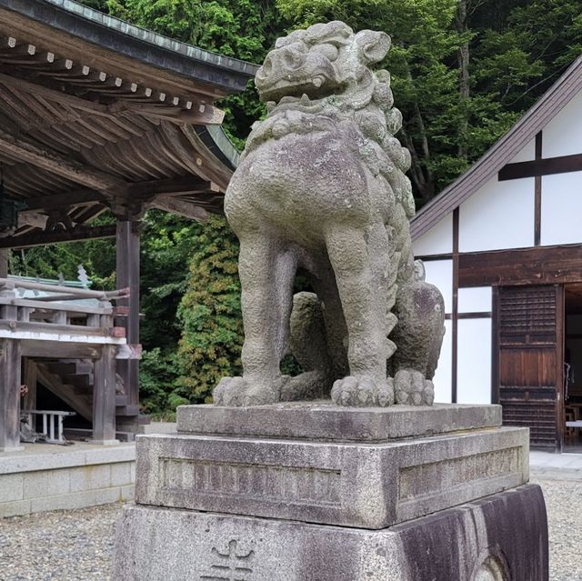 神秘古社：函館八幡宮！⛩️🌸🙏