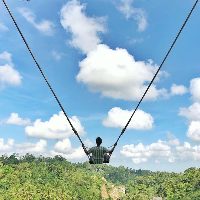 Bali Swing-Unique swing with epic view