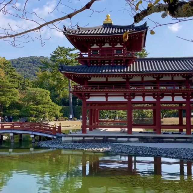 🌱 교토 녹차마을 우지의 유네스크 유산 불교사찰, 뵤도인 🍵