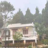 ที่พักเขาค้อ สไตล์บ้านสวนอังกฤษสุดวินเทจ ราคาหลักร้อย💐🏠