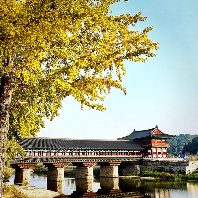 Autumn foliage around Gyochon Hanok village 