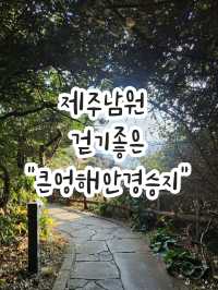 📸제주여행, 한반도 포토존이 있는 남원 "큰엉해안경승지"📸