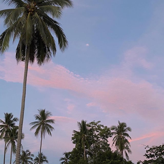 𝕂𝕠𝕙𝕋𝕒𝕠 𝕀𝕤𝕝𝕒𝕟𝕕 🌴🐚✨