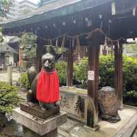 名古屋稻荷狐狸 富士淺間神社