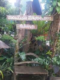Cafe and Garden สวนเกษตร2000