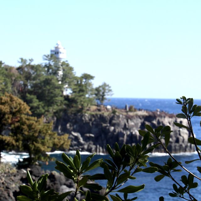 東伊豆「城崎海岸」 飽覽太平洋海岸線 +櫻花 +日本自然景觀