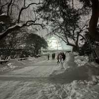 日本青森弘前城雪祭，一生一次的絕景