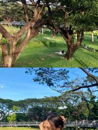 สวนป่าแห่งแรกกลางกรุงเทพฯ สวนเบญจกิติ 🌳