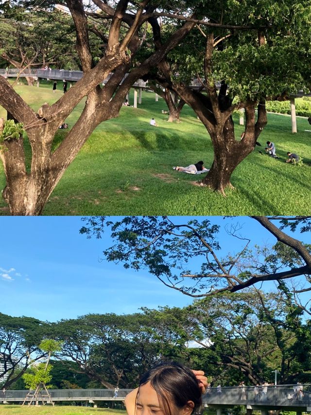 สวนป่าแห่งแรกกลางกรุงเทพฯ สวนเบญจกิติ 🌳