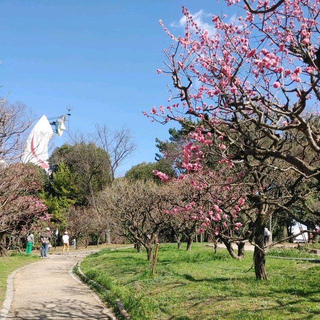 万博記念公園　太陽の塔ミュージアムショップと魚ジャパンフェス