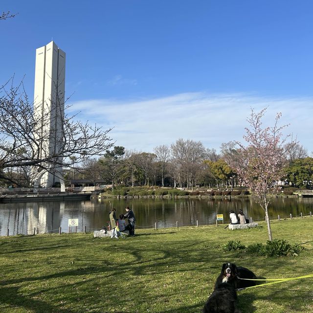 世界最大的陵墓在這個鎮上