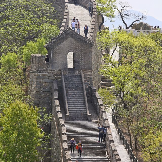 The spring color of Mutianyu Great Wall