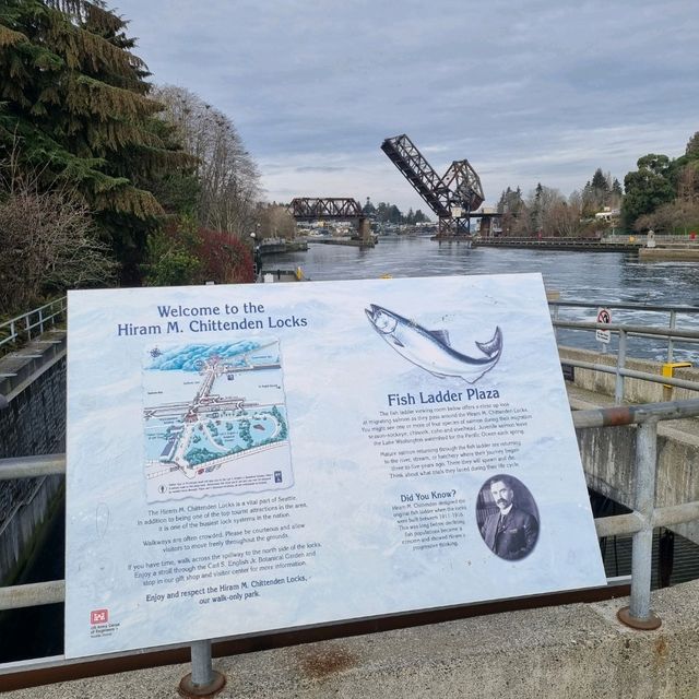 The Famous Ballard Locks, Seattle