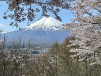 Fuji Ice cream 