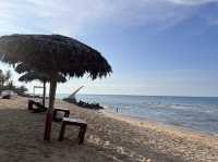 Beach Hut Coffee