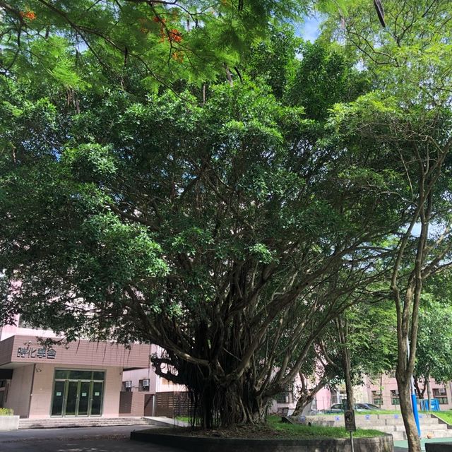 宜蘭大學