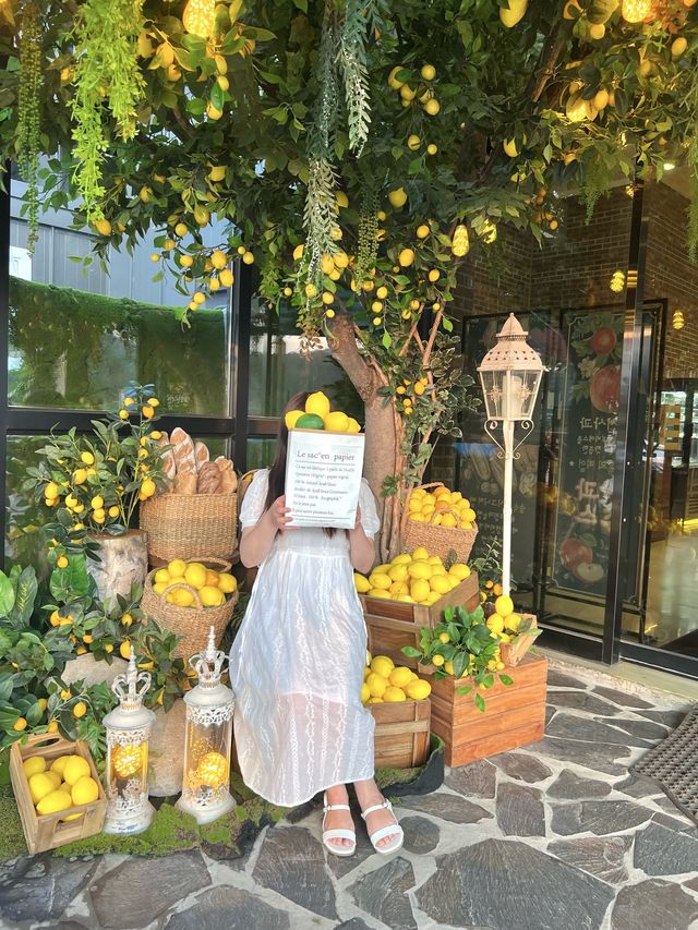 레몬향 가득느낌 포천 분위기맛집🍋