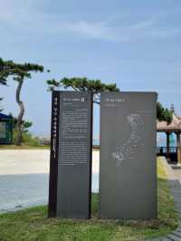 아름다운 바다위 그림같은 경주 양남 주상절리🪨🌊