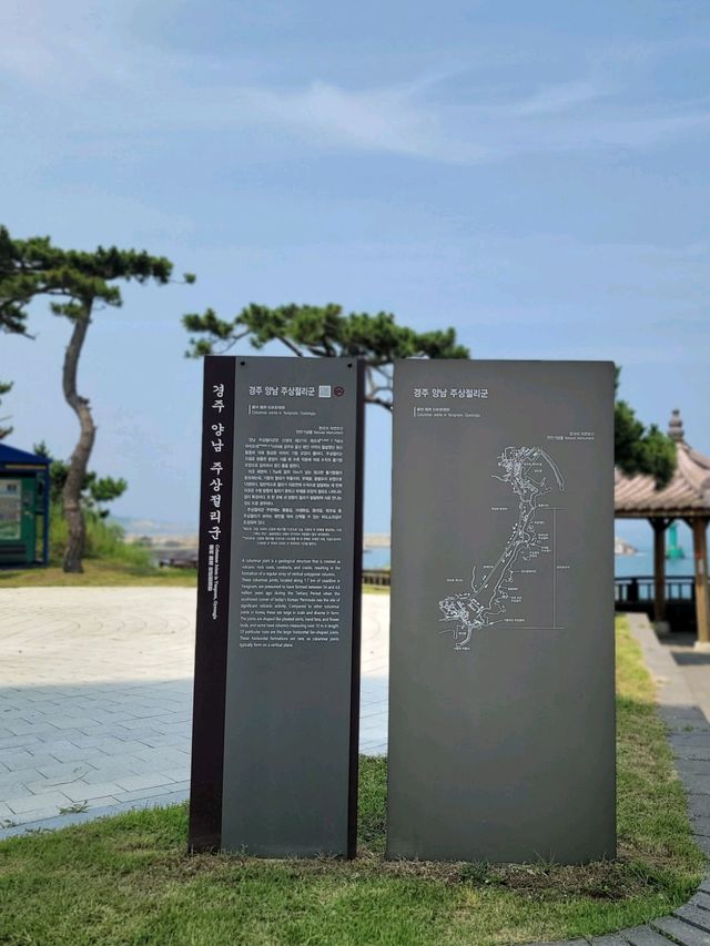 아름다운 바다위 그림같은 경주 양남 주상절리🪨🌊