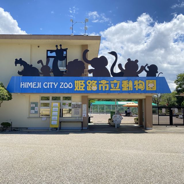 姫路の歴史ある動物園は絶対行くべき癒され空間！入園料210円姫路市立動物園【動物編】
