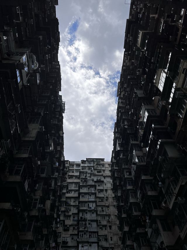 홍콩 인생샷은 익청빌딩에서 🏙️📸