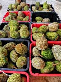 A delightful Durian Fest in SS2! 