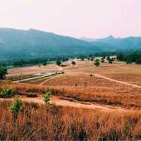 ภูเขาหญ้า