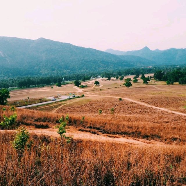 ภูเขาหญ้า