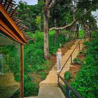 แนะนำที่พักบนดอยสกาด แต่เหมือนนอนโรงแรม