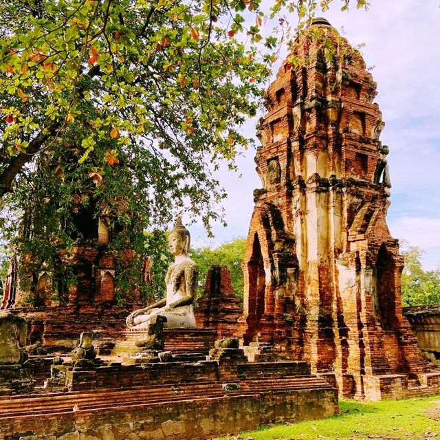 Exploring Ayutthaya Historical Park 