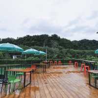  In Valley Cafe' At Robusta Valley Thungsong