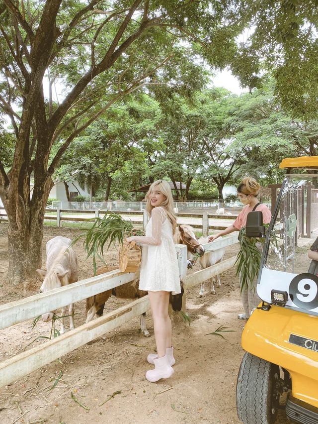 รีวิวสวนสัตว์สนามบิน📍สุโขทัย