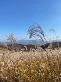 [경기도] 포천 억새밭이 가득한 명성산🏔️