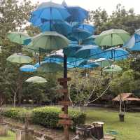 ที่เที่ยวเชียงใหม่หน้าหนาว “น้ำพุร้อนสันกำแพง” ☁️🌳