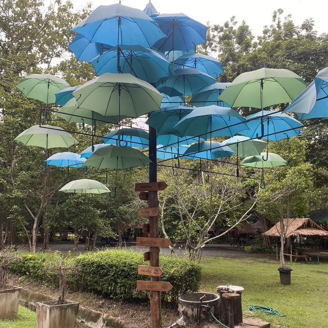 ที่เที่ยวเชียงใหม่หน้าหนาว “น้ำพุร้อนสันกำแพง” ☁️🌳