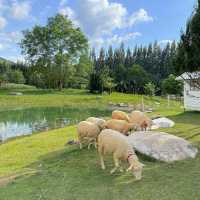Bucolic ฟาร์มคาเฟ่เขาใหญ่