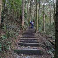 大雪山國家森林遊樂區的美好享受