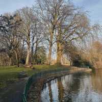An afternoon in the park 