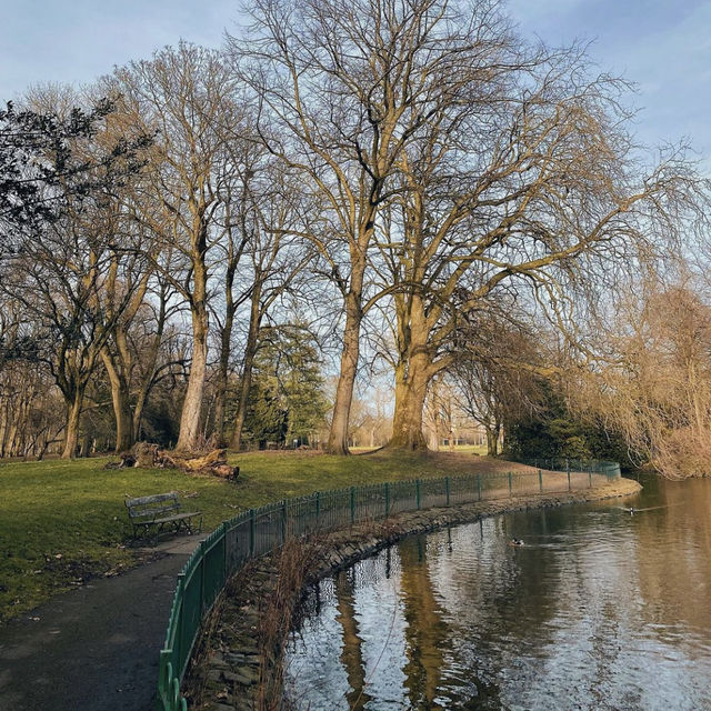 An afternoon in the park 