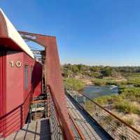 Kruger Shalati - The Train on the Bridge