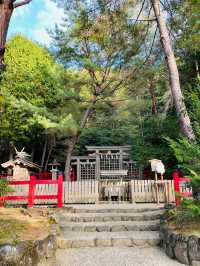 【奈良県/檜原神社】2023年行ってよかった！奈良県の神社④
