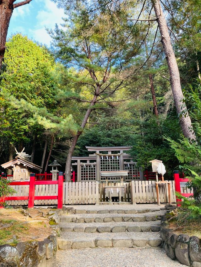 【奈良県/檜原神社】2023年行ってよかった！奈良県の神社④