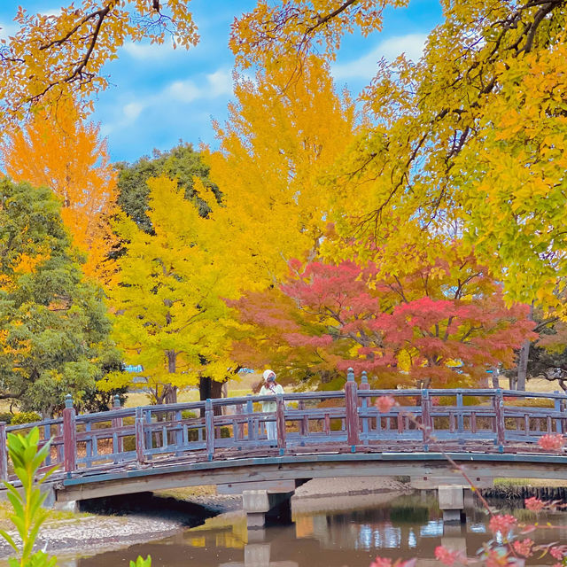 Do you like autumn? 🍁