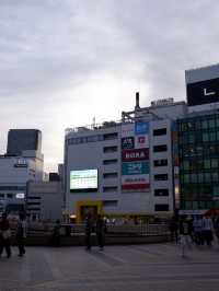 日本餐廳篇，仙台善次郎厚燒牛舌必吃
