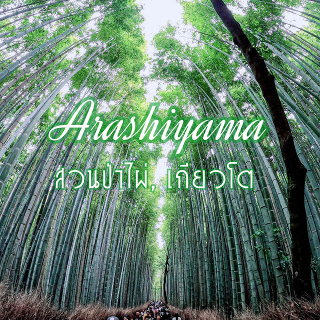 สวนป่าไผ่อาราชิยาม่า Arashiyama, Kyoto