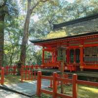 【大分】九州のパワースポット！宇佐八幡宮