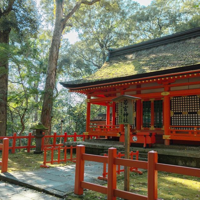 【大分】九州のパワースポット！宇佐八幡宮