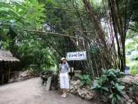 คาเฟ่ธรรมชาติ บางพระเรือ ณ ห้วยท่าไทร