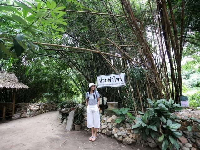 คาเฟ่ธรรมชาติ บางพระเรือ ณ ห้วยท่าไทร